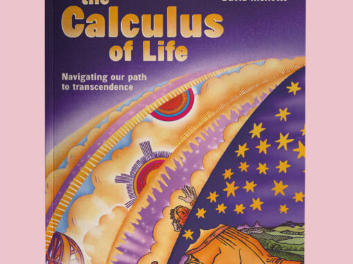 Vormgeving cover en layout The Calculus of Life Vormgeving cover en layout The Calculus of Life
